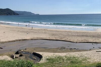 潮回りでチェック。