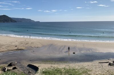 潮回りでチェック、本日も午後に期待。