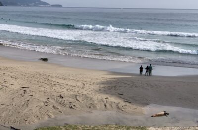 選べば遊べるスタート。