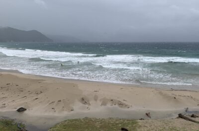 お昼以降に期待。