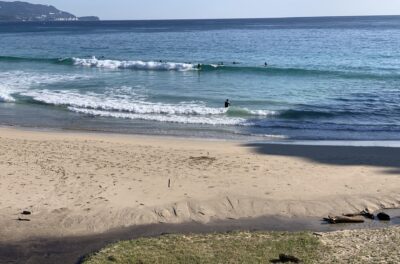 小波のトレーニング可能です。