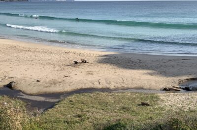 小波のトレーニング可能です。