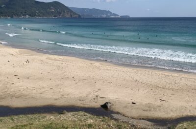 小波のトレーニング可能です。