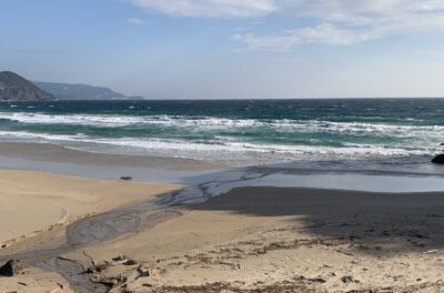 昨日より北東が強まってます。