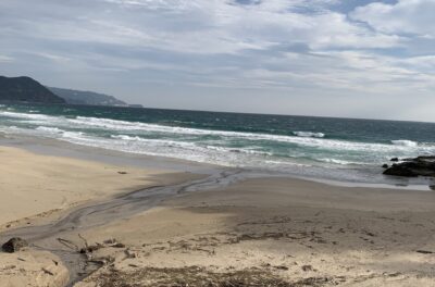 北東風が強まってます。