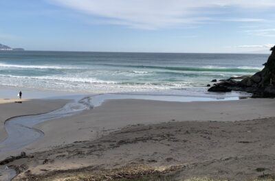 オフショアです、潮回りでチェック。