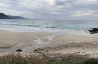 潮回りでチェック。