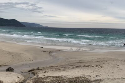 オンショア続いています。