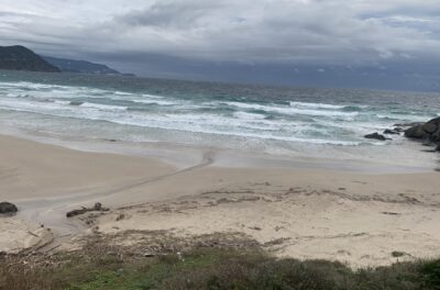 北東風が強まってます。