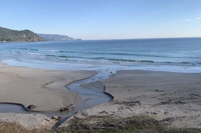 ロングがおススメ。