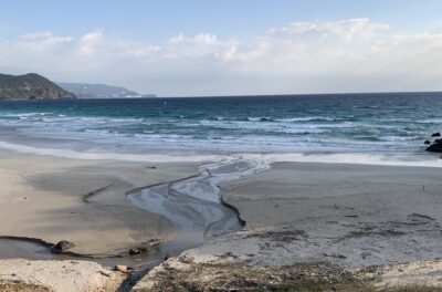 オンショアが強まってます。