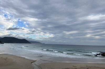 潮回りでチェック。