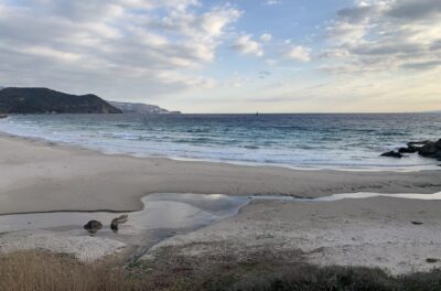 オンショアのトレーニングは可能。