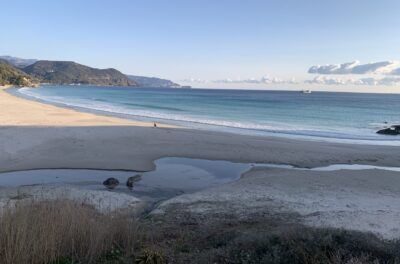 潮回りでチェック。