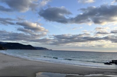 潮回りでチェック。