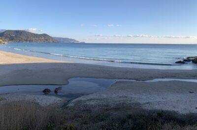 潮回りでチェック。