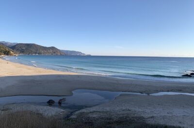 潮回りでチェック。