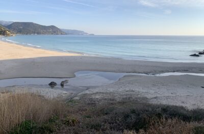 厳しいスタート。