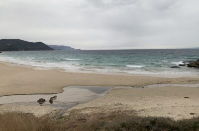 北東風の影響が出ています。