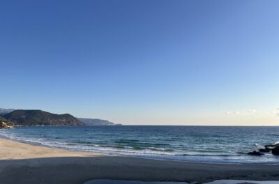 潮回りでチェック。