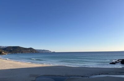 潮回りでチェック。